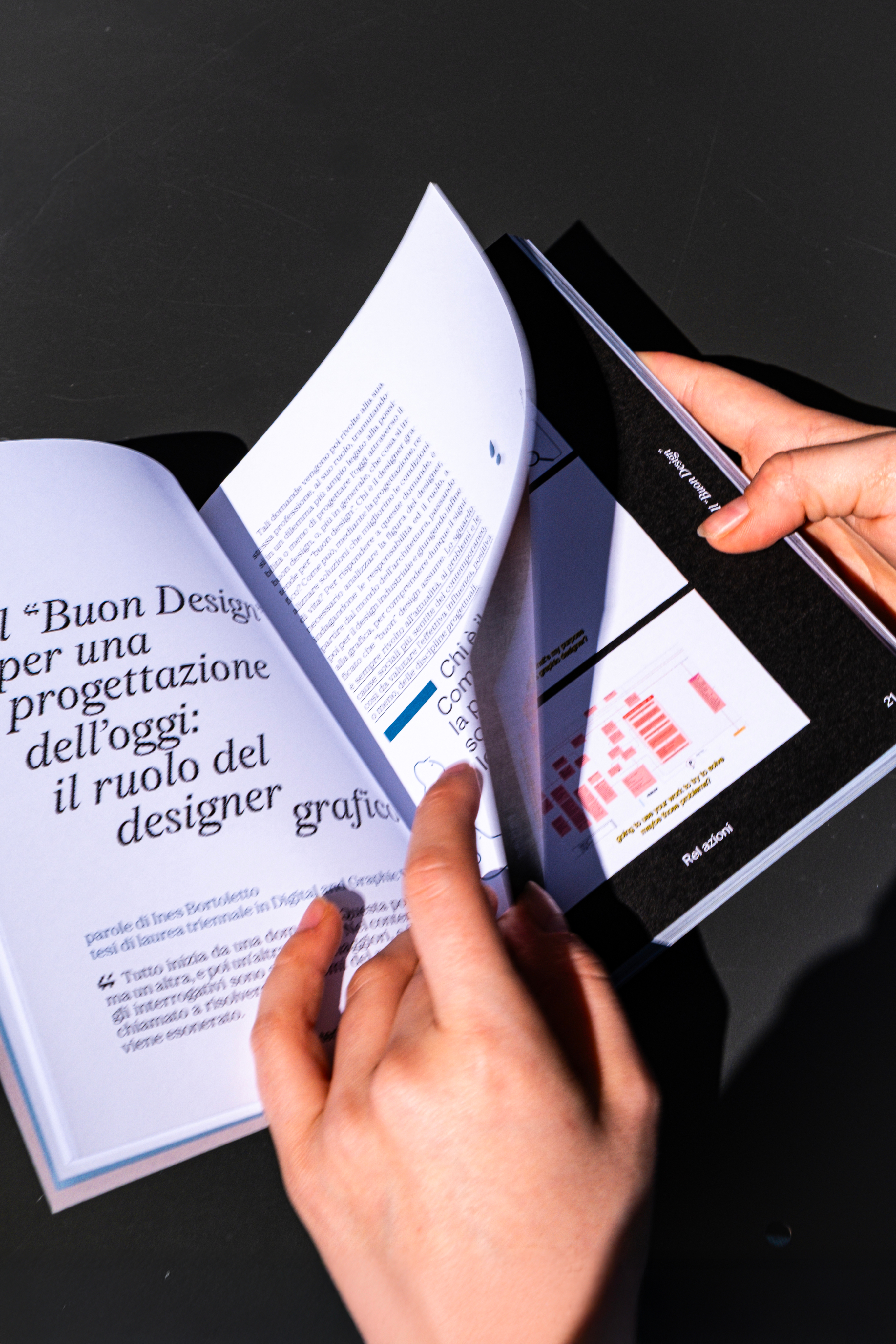 Dintorni N.00 Asterismi, Riccardo Cappelletto.