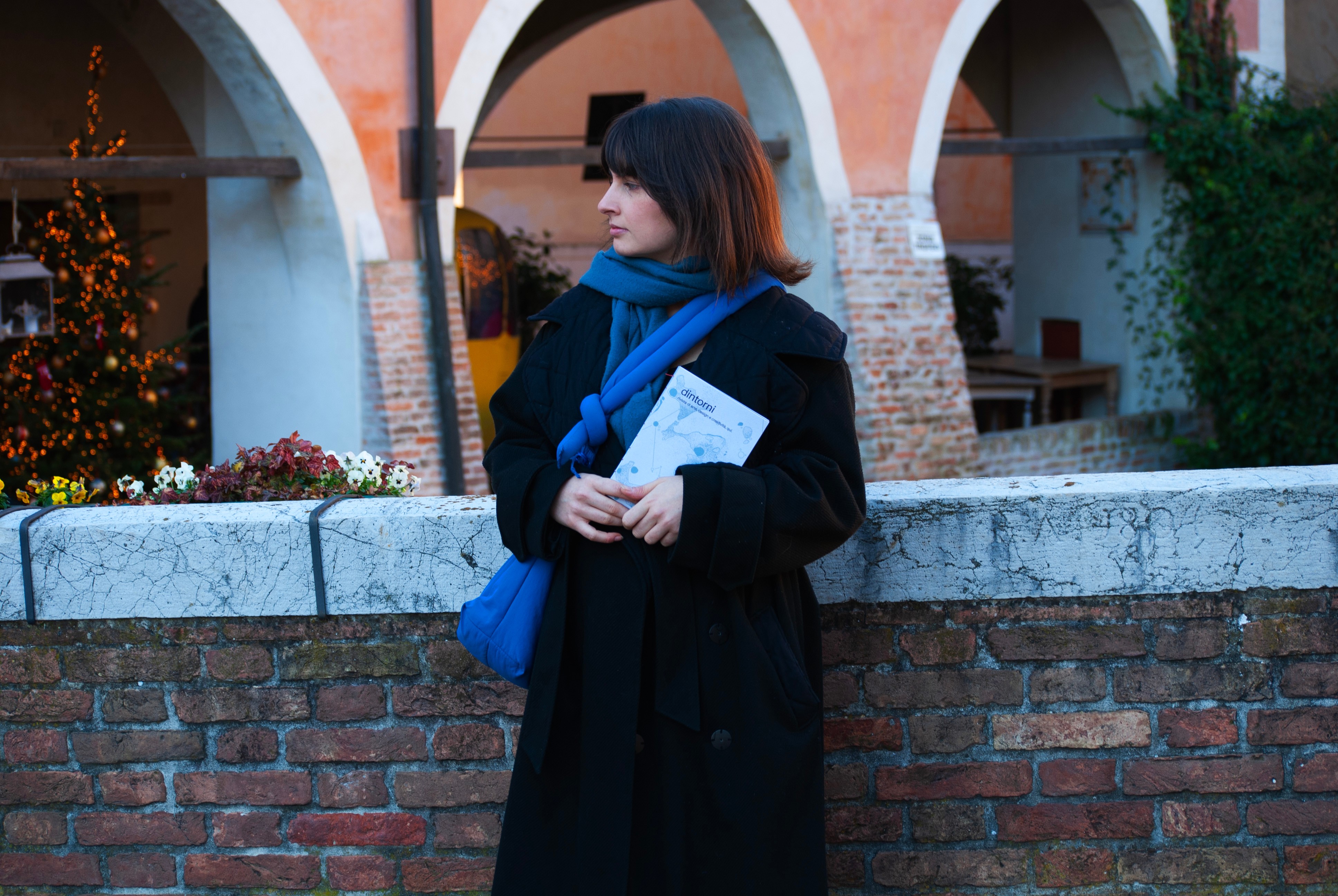 Dintorni N.00 Asterismi, Ines Bortoletto.