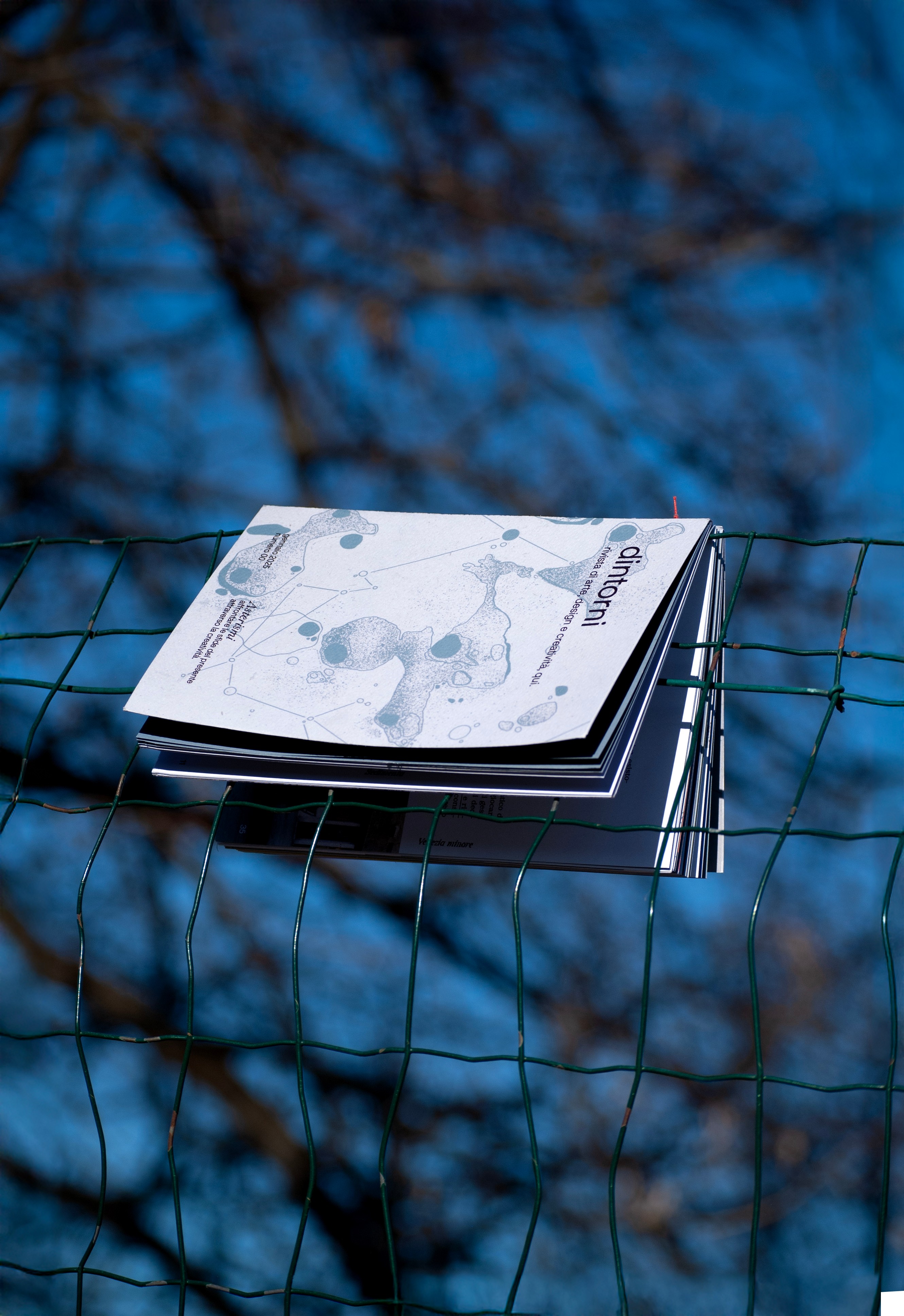 Dintorni N.00 Asterismi, Ines Bortoletto.