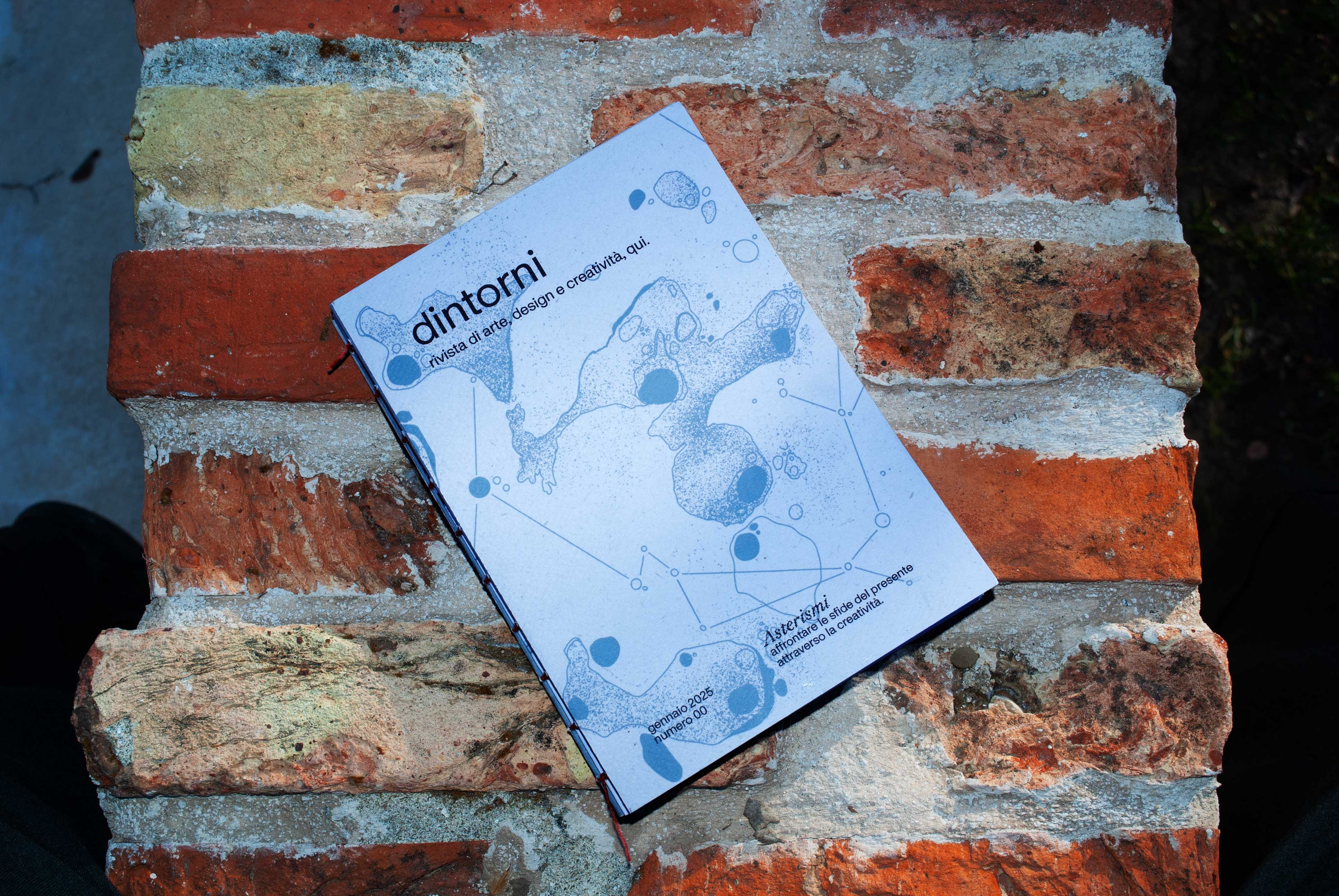 Dintorni N.00 Asterismi 
Foto di: Ines Bortoletto