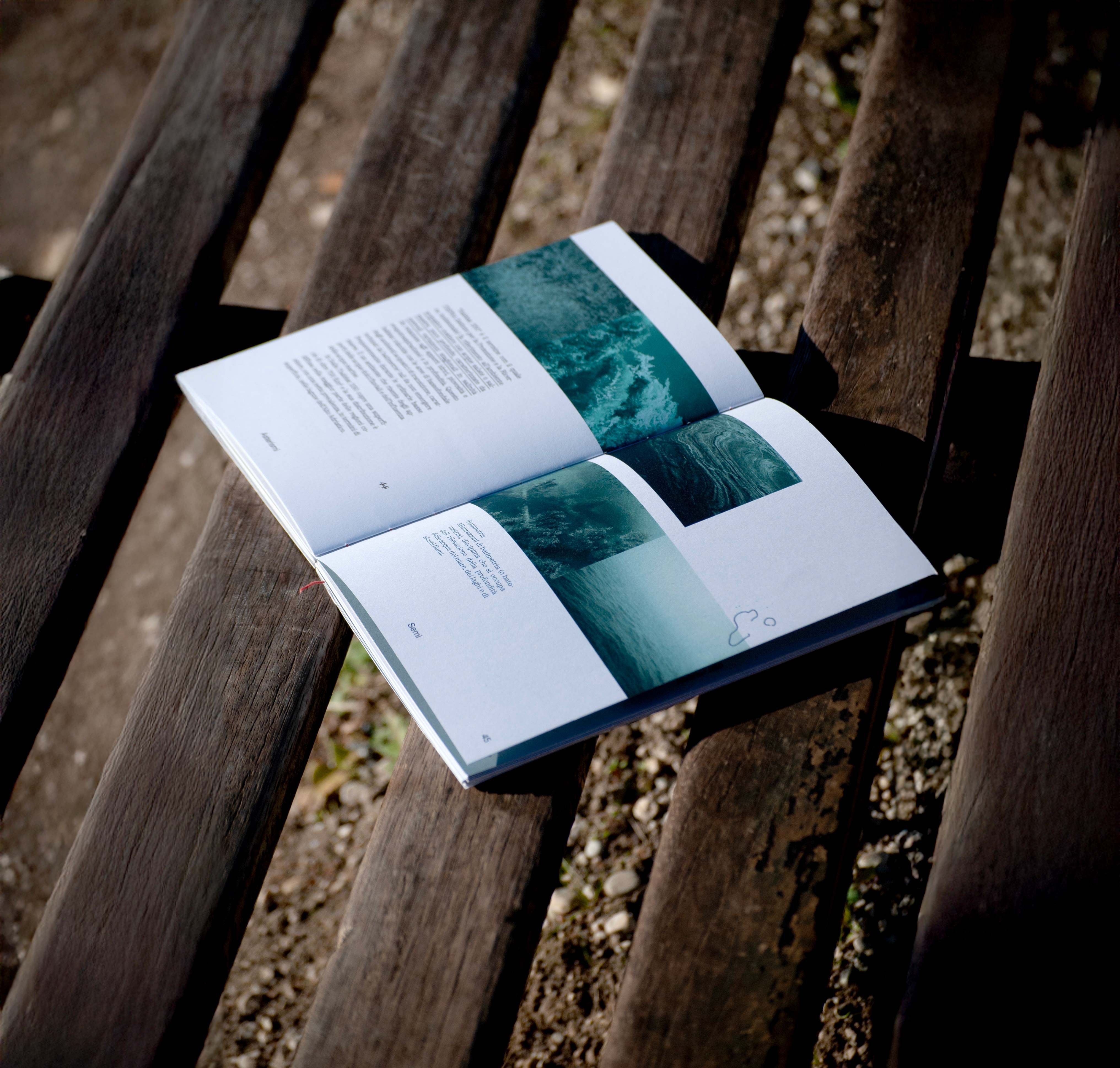 Dintorni N.00 Asterismi 
Foto di: Ines Bortoletto