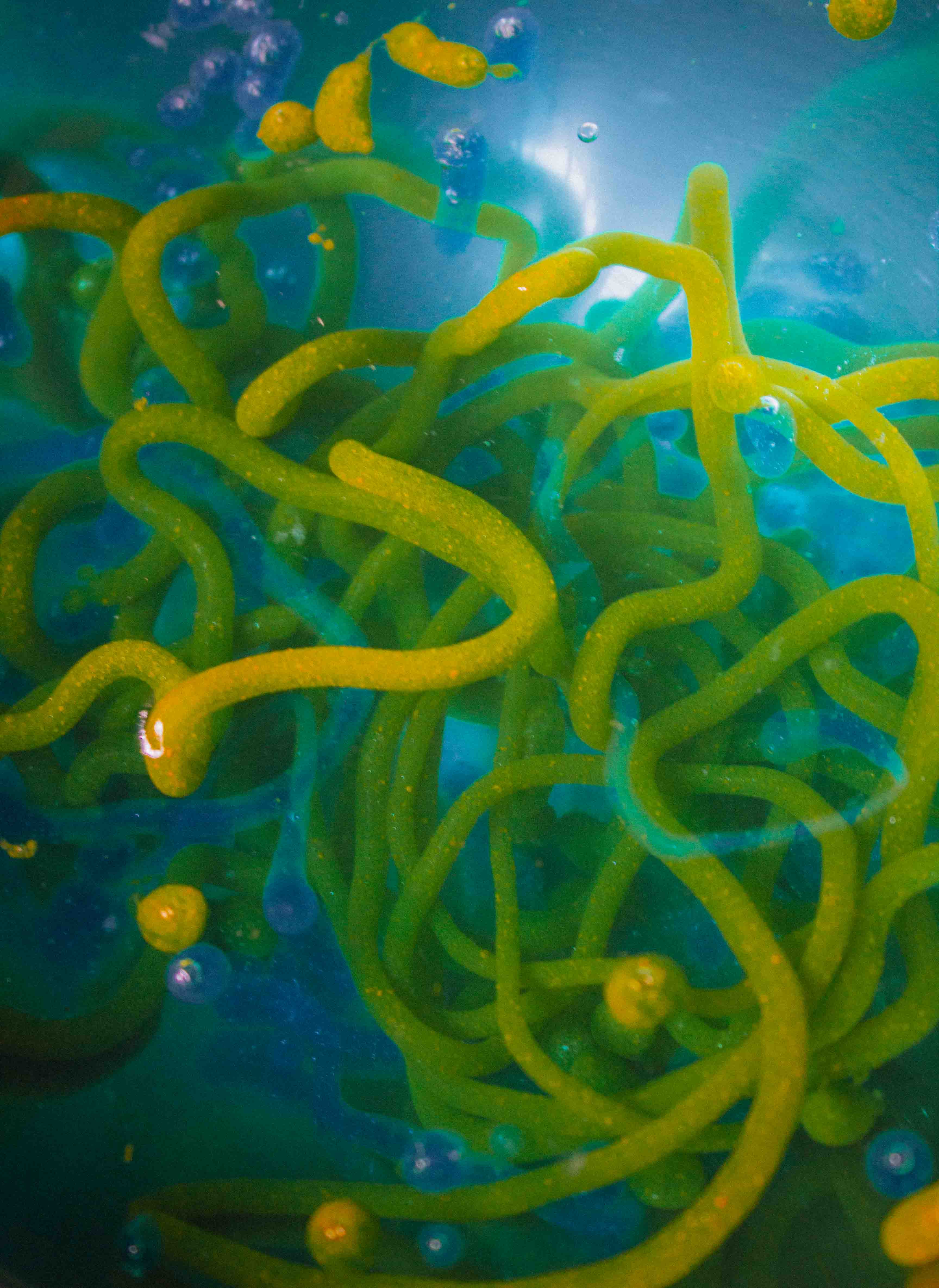 Interno degli spazi di Ocean Space