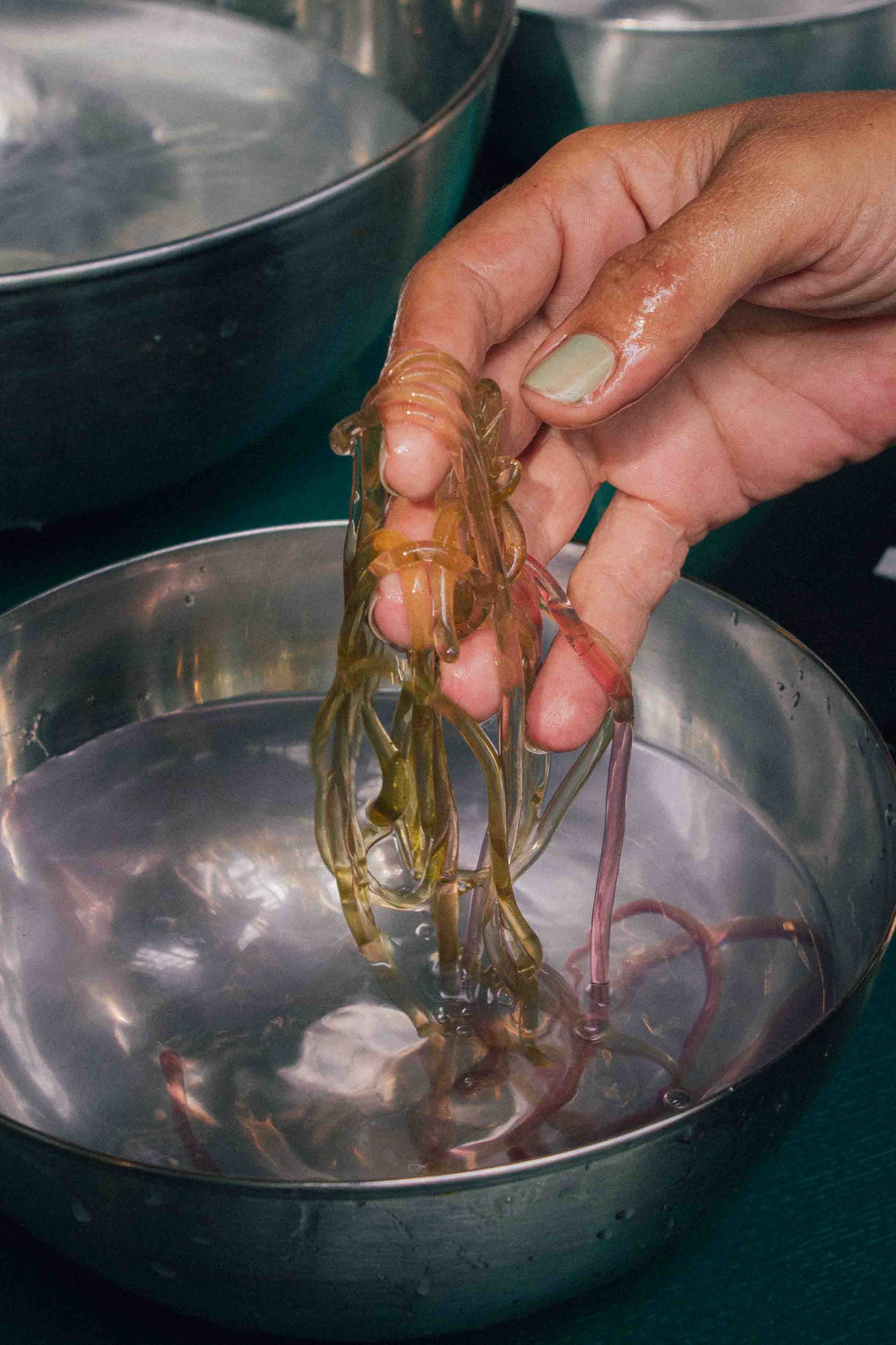 Visitatori della mostra, foto di: Lucrezia Ceselin